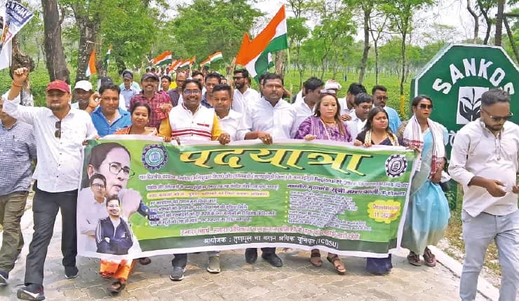 চা শ্রমিকদের পিএফ মেটানোর দাবিতে তৃণমূলের পদযাত্রা শুরু