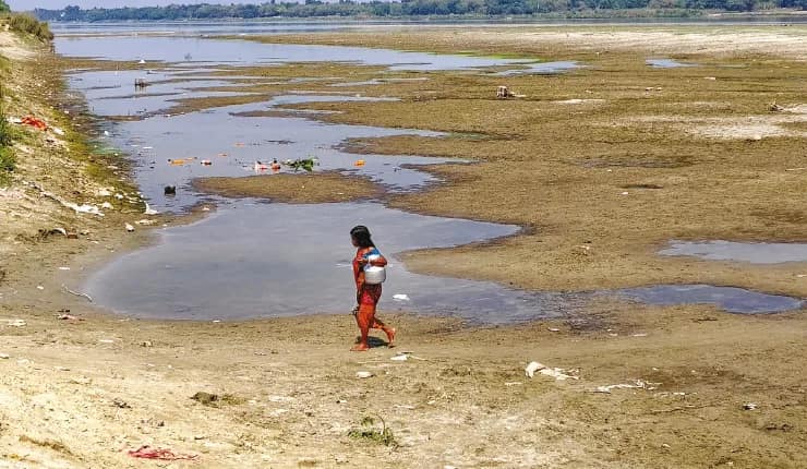 নাব্যতা হারিয়ে ফসল ফলাচ্ছে ইছামতী, উদ্বিগ্ন পরিবেশ কর্মী থেকে সাধারণ মানুষ
