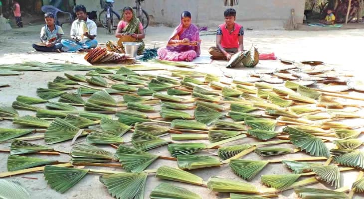 মেদিনীপুরে তালপাতার পাখা বানিয়ে পেট চালান পাখাপাড়ার বাসিন্দারা