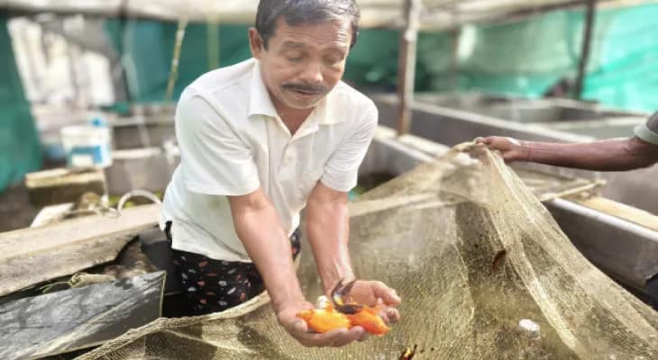 চাহিদা বাড়ছে রঙিন মাছের, হাতে-কলমে প্রশিক্ষণ নিয়ে সফল ব্যাঙকান্দির অজিত