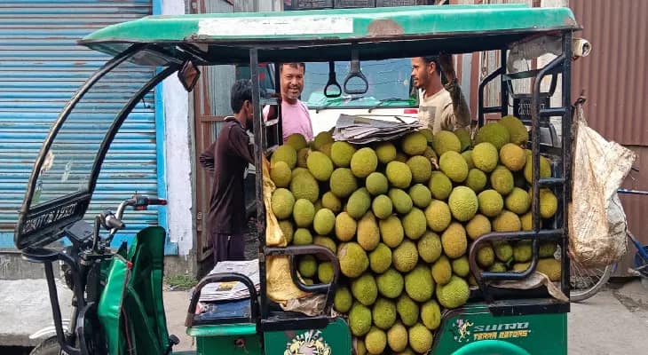 হলদিবাড়ির টম্যাটো, কাঁচা লঙ্কার পর এবার এঁচোড় যাচ্ছে ভিনরাজ্যে