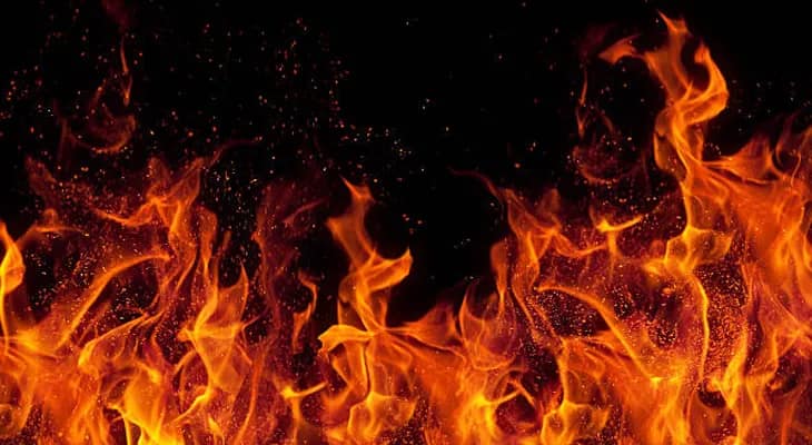 বনগাঁয় বিধ্বংসী আগুনে পুড়ে ছাই ন’টি দোকান
