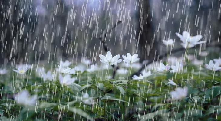 আগামী কয়েক ঘণ্টার মধ্যে ঝাড়গ্রাম, পুরুলিয়া ও পশ্চিম বর্ধমানের বিভিন্ন স্থানে ঝড়বৃষ্টির পূর্বাভাস