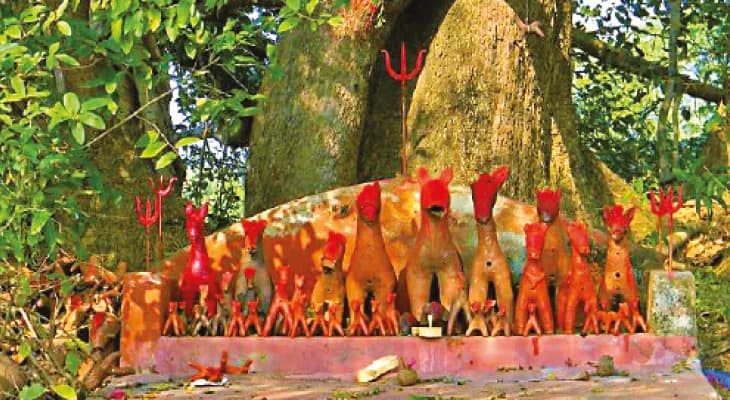 চৈত্র সংক্রান্তিতে ঝাড়গ্রামের বিভিন্ন গরামথানে সারুলপুজো