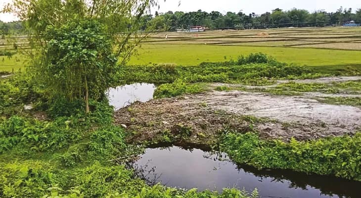 আস্ত নদীটাই চুরি! পাহাড়পুরে অস্তিত্ব সঙ্কটে ধরধরা
