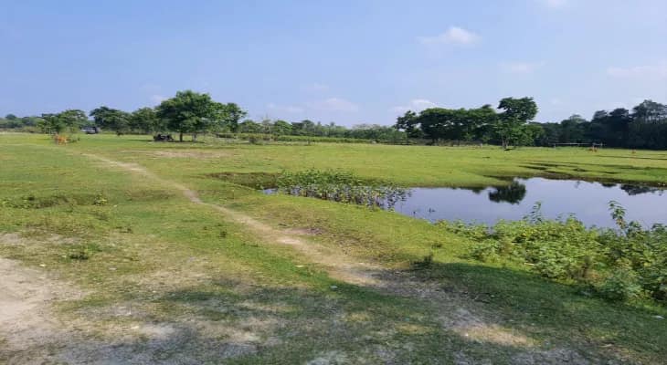 পুঁটিমারিতে পুরসভার ২১ বিঘা জমি গোচারণভূমি, বেদখল হওয়ার শঙ্কা