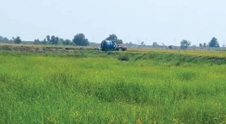 শৌচাগারের বর্জ্য ফেলা হচ্ছে জনবসতি এলাকায়, নাজেহাল দেগঙ্গার বাসিন্দারা