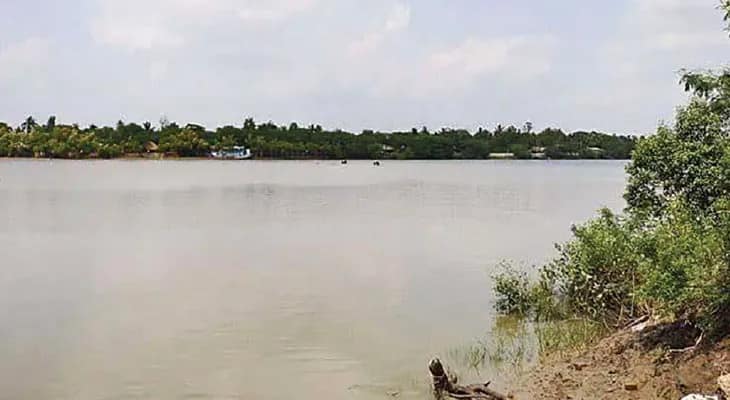 মানুষ থেকে কুমির