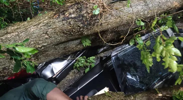 আরামবাগ মেডিক্যাল কলেজ ও হাসপাতাল চত্বরে গাড়ির উপরে ভেঙে পড়েছে গাছ, ব্যাপক ঝড়