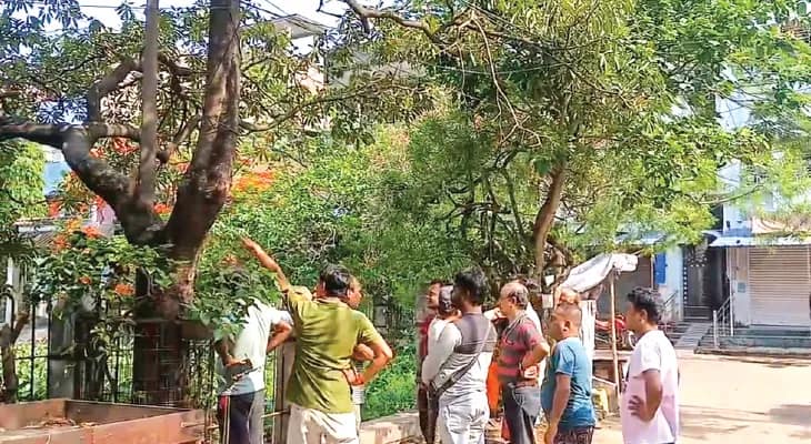 বাবা-ছেলের ঝুলন্ত দেহ উদ্ধার, বেলুড়ে পারিবারিক অশান্তির জেরেই অঘটন, অনুমান পুলিসের