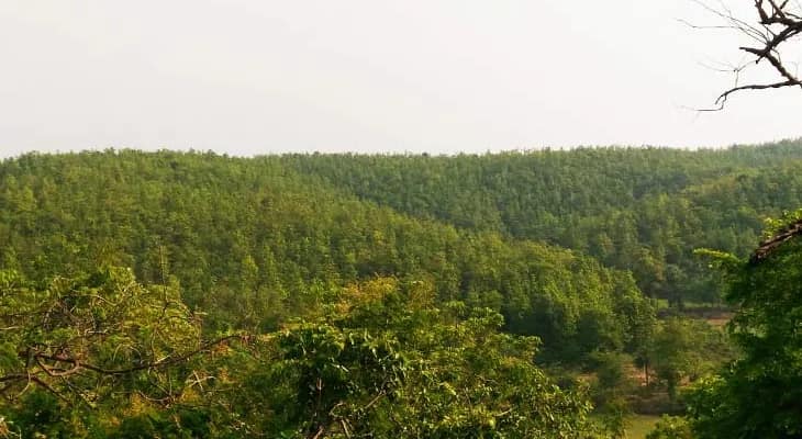 ঝাড়গ্রামের সর্বোচ্চ শৃঙ্গ ‘বড় পাহাড়’কে প্রচারে আনতে উদ্যোগী পর্যটন দপ্তর