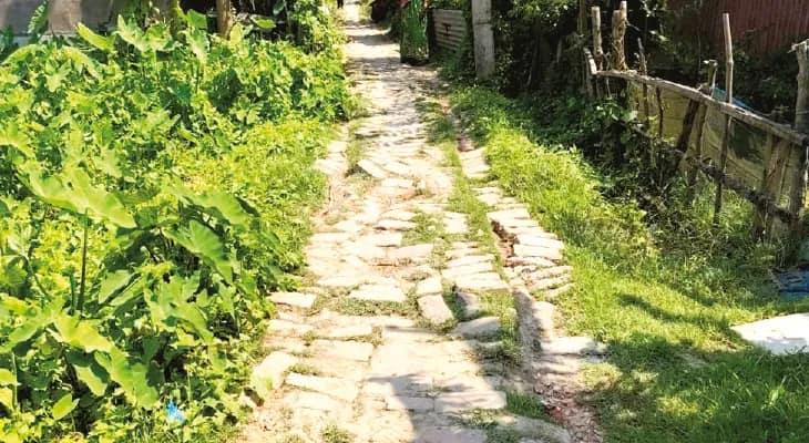 বেহাল ইটের রাস্তা, নাজেহাল গ্রামবাসীরা