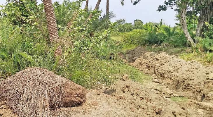 ধোসায় ডাবু খালের ধারে হবে পিকনিক স্পট