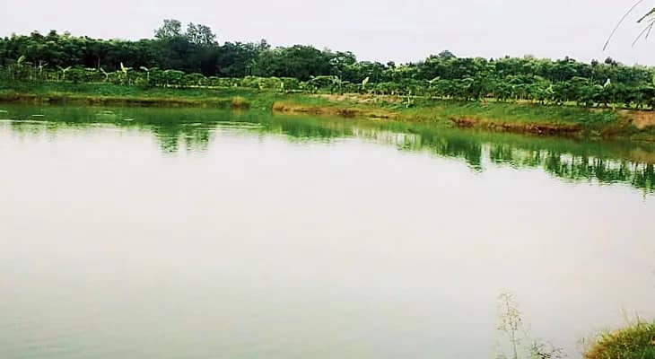 পুকুর বোজানোর চেষ্টা, দ্রুত সংস্কারের  নির্দেশ দিয়ে নোটিস পাঠাচ্ছে পুরসভা