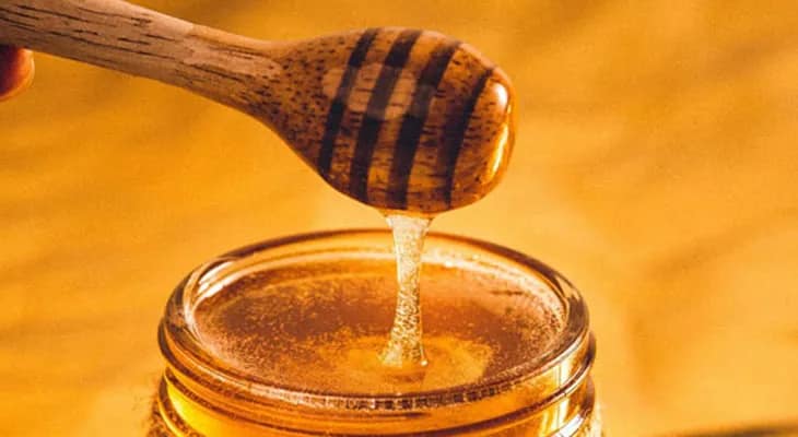 মধু সংগ্রহের লক্ষ্যমাত্রা পূরণ