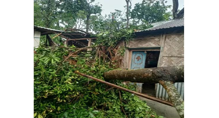 পাঁচ মিনিটের ঝড়ে লন্ডভন্ড আমগুড়ি পঞ্চায়েত এলাকা, ক্ষতিগ্রস্ত ৬০টি বাড়ি
