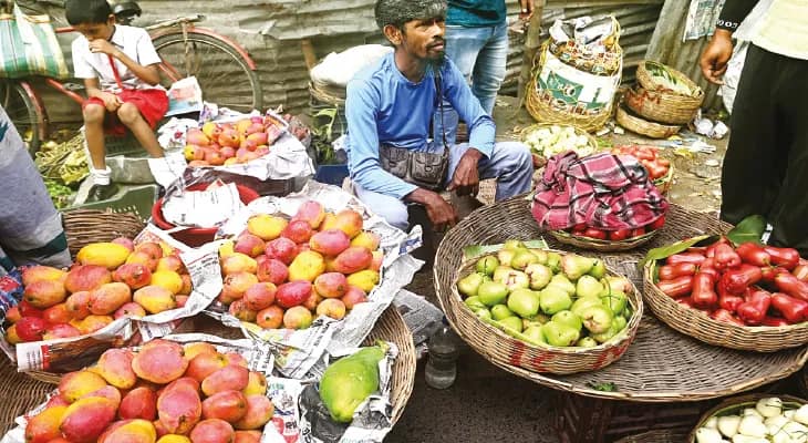 বম্বে লিচুর দেখা নেই, বারুইপুরে ফলের বাজার ছেয়ে ফেলেছে জামরুল ও আমে
