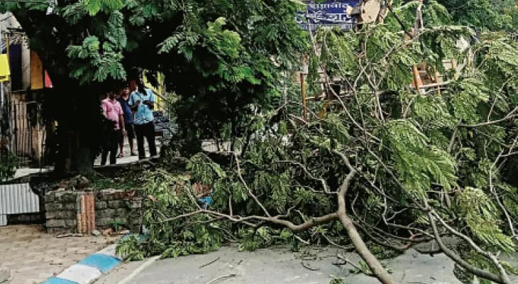 ঘণ্টায় ৬৫ কিমির ঝড় আর ‘দানবীয়’ মেঘের বৃষ্টিতেই তাণ্ডব,  চলতি সপ্তাহেই ফের কালবৈশাখীর সম্ভাবনা শহর-শহরতলিতে
