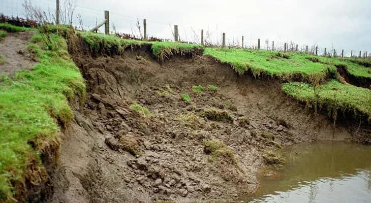 প্রতিশ্রুতিই সার, কংসাবতী নদী ভাঙনে সর্বস্বান্ত অনেকেই, দ্রুত সমাধানের দাবি