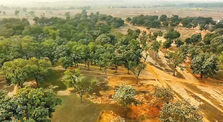 পাথুরে এলাকায় অল্প জলে লাভজনক শস্যচাষের উদ্যোগ