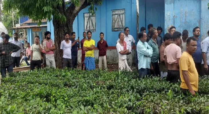 স্কুলের জমি দখল করে চা বাগান তৈরির অভিযোগ, পরিদর্শনে খোদ বিএলআরও