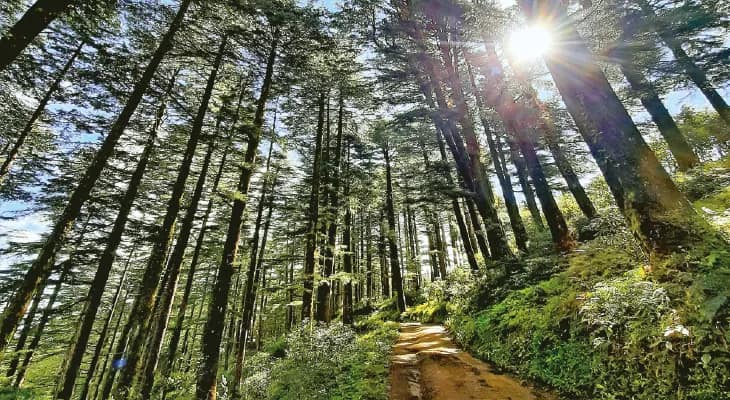 ধনৌল্টির  পথে প্রান্তরে