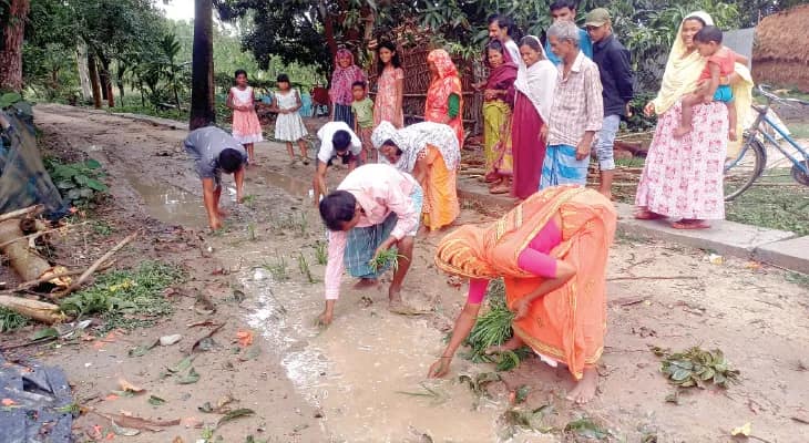 বেহাল রাস্তায় ধানের চারা পুঁতে বিক্ষোভ সোনাবাড়িতে