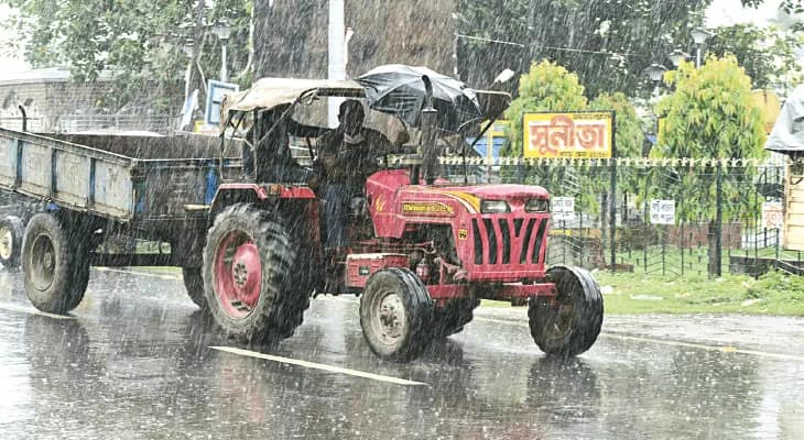 কয়েক দফা বৃষ্টিতে তিলচাষে ফলন কম হওয়ার আশঙ্কায় মুর্শিদাবাদের চাষিরা
