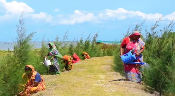 ভাঙন রুখতে হাজার হাজার গাছ রোপণ মহিলাদের