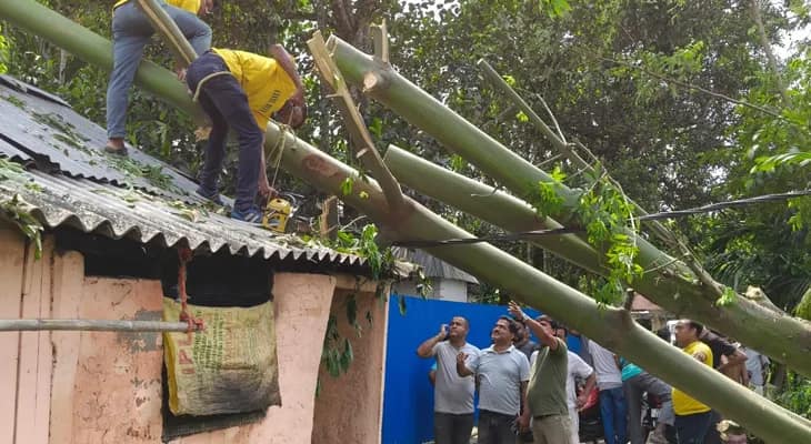 ঝড়ে বিধ্বস্ত ময়নাগুড়ি বার্নিশ গ্রাম পঞ্চায়েত এলাকায় গাছ কাটার কাজ শুরু করল বিপর্যয় মোকাবিলা বাহিনী