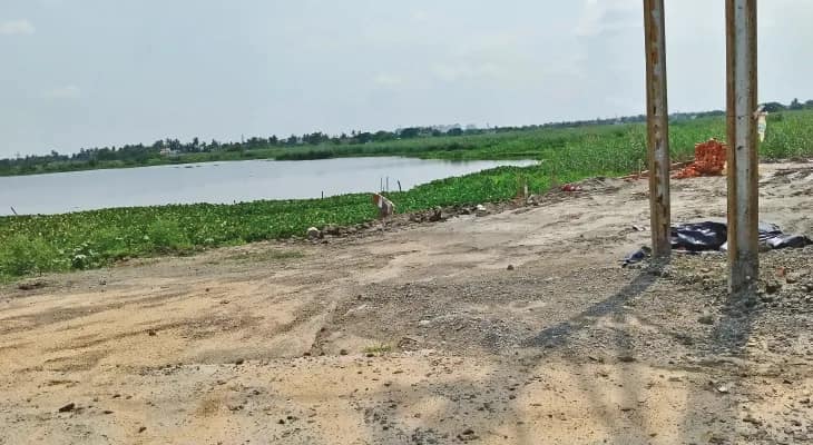 এবার জমি হাঙররা থাবা বসাল কল্যাণী এক্সপ্রেসওয়ে লাগোয়া ‘খেপলির বিলে’