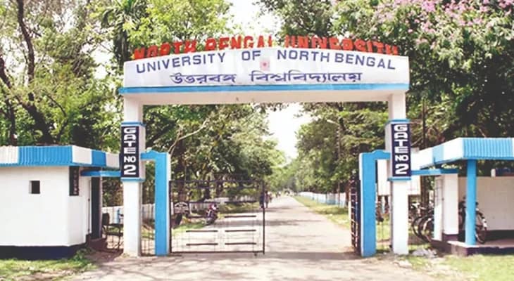 অভিভাবকহীন এনবিইউ