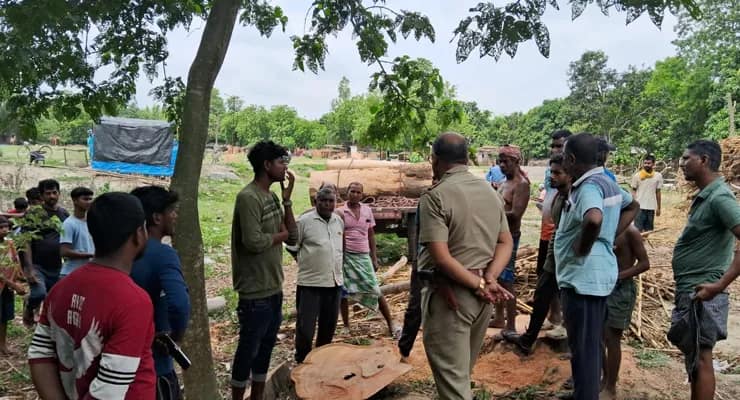 সরকারি গাছ কেটে পাচারের চেষ্টা রুখল পুলিস