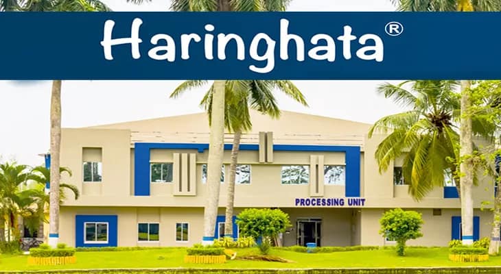 বাঙালির পাতে এবার ‘হরিণঘাটা ফিশ’