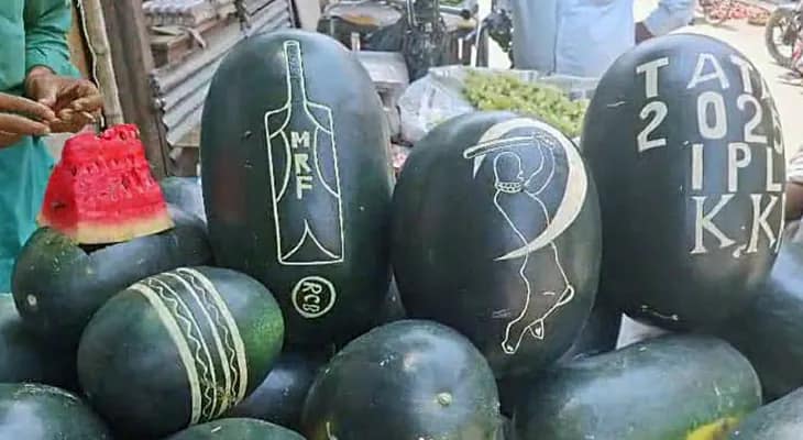মেহের আলির ক্যানভাস-তরমুজে মজে কাটোয়া