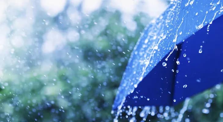 উত্তরবঙ্গের কিছু অংশে প্রবেশ করল বর্ষা