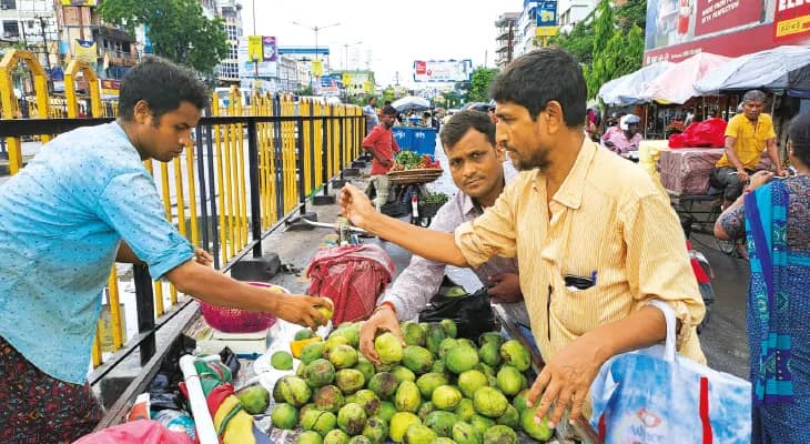 জামাইষষ্ঠীর বাজার ধরতে সময়ের আগেই দেদার বিকোচ্ছে আম, কেমিক্যাল ব্যবহারের অভিযোগ