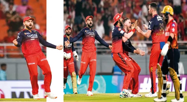 ব্যর্থ শ্রেয়স আয়ার, তিনটি করে উইকেট সুয়াশ-হ্যাজলউডের, পাঞ্জাবকে উড়িয়ে ফাইনালে বেঙ্গালুরু