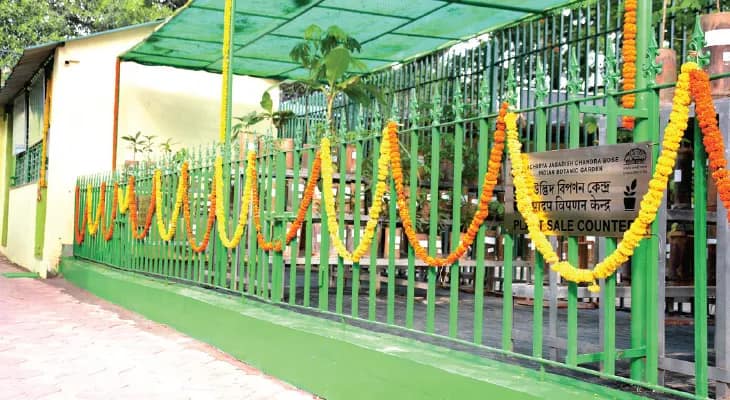নামমাত্র মূল্যে ফুল-ফল-মশলার চারা, বি গার্ডেনে উদ্বোধন নয়া বিক্রয়কেন্দ্রের