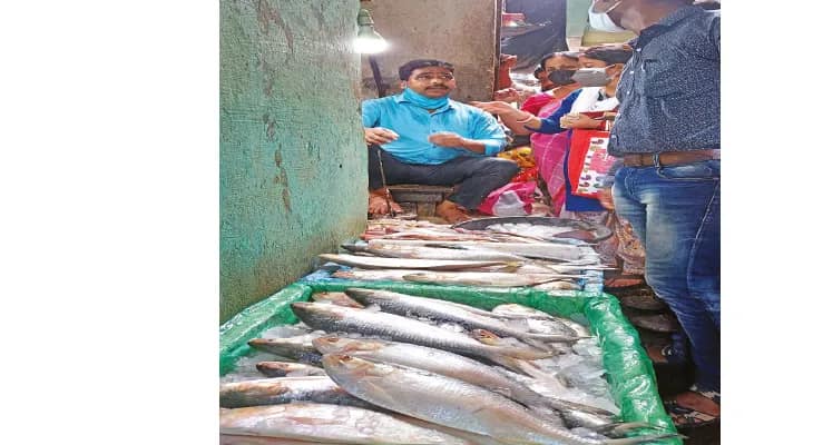 ইলিশ, পাবদা থেকে গলদা চিংড়ির দামে ছ্যাঁকা জামাই আপ্যায়নে বাজারে ভিড় শ্বশুরদের