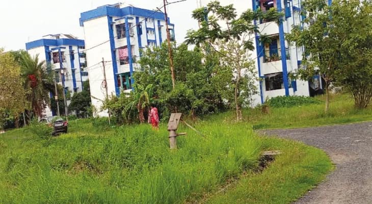 হলদিয়া হাসপাতালের আবাসনের রাস্তায় ঘুরে বেড়াচ্ছে বিষধর সাপ, আতঙ্কে ডাক্তার, নার্সরা