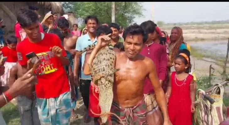 কুলতলিতে কুমিরের আতঙ্ক!