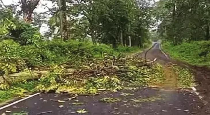 ব্যাপক বৃষ্টিতে বিপর্যস্ত কার্শিয়াংয়ের গাড়িধুরা