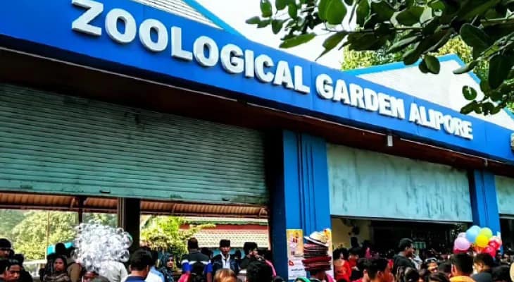 দার্জিলিংকে টপকে সেরার শিরোপা আলিপুর চিড়িয়াখানার