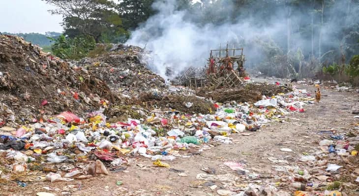 নোকাড়িগামী রাস্তার পাশে খোলা ভাগাড়, দুর্গন্ধে অতিষ্ঠ বাসিন্দারা