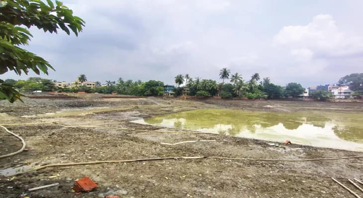 পুকুর সংস্কারের সময় মিলল কেউটের ৩০টি বাসা!