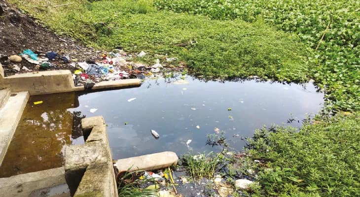 বনগাঁয় জঞ্জাল পড়ে দূষিত ইছামতীর  জল, স্নান করলে ছড়াচ্ছে নানা রোগ