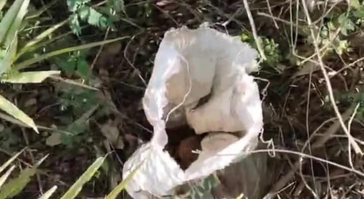 বীরভূমের রামপুরহাটের বিনোদপুরে তাজা বোমা উদ্ধার, তদন্তে পুলিস