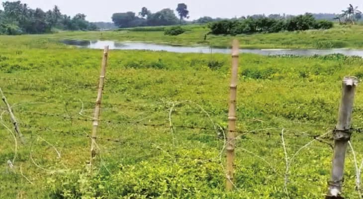 বাগদা-বনগাঁ সীমান্তে শুরু হল কাঁটাতারের বেড়া দেওয়ার কাজ, রাজ্য জমি হস্তান্তরের পরই উদ্যোগ বিএসএফের
