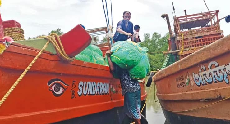 ইলিশ ধরতে অভিযান শুরু শনিবার মাঝরাতে, সুন্দরবন থেকে গভীর সমুদ্রে কয়েক হাজার ট্রলার